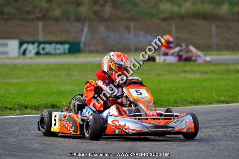 DSC_ (787).jpg